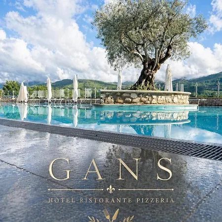 Gans